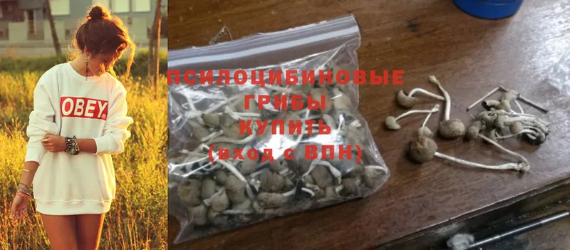 Псилоцибиновые грибы MAGIC MUSHROOMS  цена наркотик  Глазов 